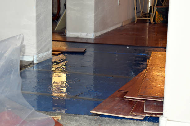 Professional Water Damage Restoration technician working in Stanton, MO